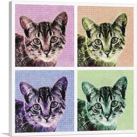 Ocicat Cat Breed Collage