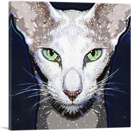 Oriental Shorthair Cat Breed Dark-1-Panel-12x12x1.5 Thick