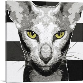 Oriental Shorthair Cat Breed Greyscale-1-Panel-18x18x1.5 Thick