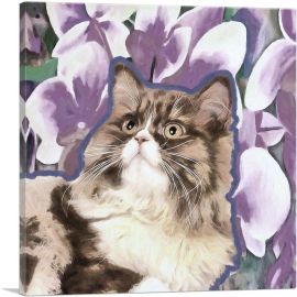 Ragamuffin Cat Breed Violet-1-Panel-36x36x1.5 Thick