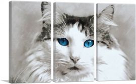 Ragdoll Cat Breed Blue Eyes-3-Panels-90x60x1.5 Thick
