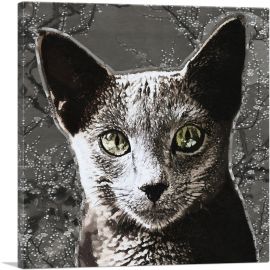 Russian Blue Cat Breed Charcoal-1-Panel-36x36x1.5 Thick