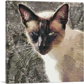 Snowshoe Cat Breed Brown-1-Panel-26x26x.75 Thick