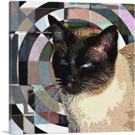 Tonkinese Cat Breed Radial-1-Panel-18x18x1.5 Thick