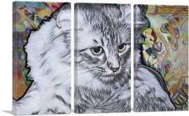 American Curl Cat Breed Multicolor-3-Panels-90x60x1.5 Thick