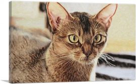 Abyssinian Cat Breed Closeup-1-Panel-12x8x.75 Thick