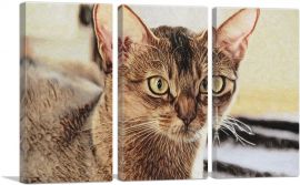 Abyssinian Cat Breed Closeup-3-Panels-90x60x1.5 Thick