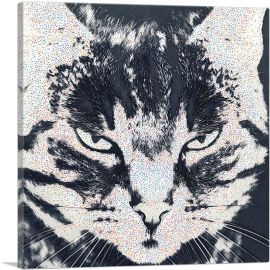 American Shorthair Angry Cat Breed Dots-1-Panel-18x18x1.5 Thick