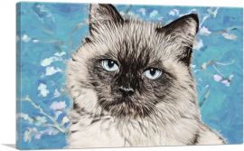 Balinese Cat Breed Serious-1-Panel-60x40x1.5 Thick