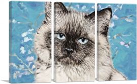 Balinese Cat Breed Serious-3-Panels-90x60x1.5 Thick