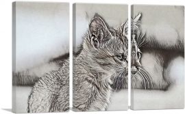 Abyssinian Cat Breed Sketch-3-Panels-60x40x1.5 Thick