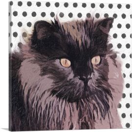 Chantilly-Tiffany Cat Breed Dots