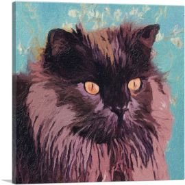 Chantilly-Tiffany Cat Breed-1-Panel-12x12x1.5 Thick