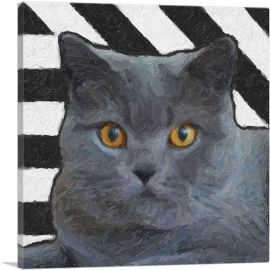 Chartreux Cat Breed Stripes-1-Panel-18x18x1.5 Thick