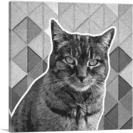 Dragon Li Cat Breed Gray-1-Panel-26x26x.75 Thick