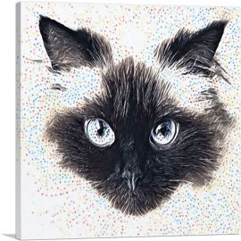 Himalayan Cat Breed Floating Face-1-Panel-36x36x1.5 Thick