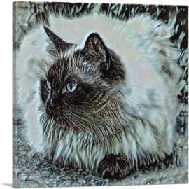 Himalayan Cat Breed-1-Panel-26x26x.75 Thick