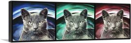 Korat Cat Breed Panoramic-1-Panel-36x12x1.5 Thick