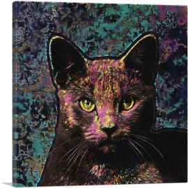 Korat Cat Breed-1-Panel-26x26x.75 Thick