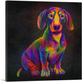 Dachshund Colorful Animal Dog-1-Panel-12x12x1.5 Thick