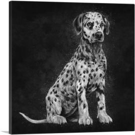 Dalmatian Dog Puppy Spots Black White Spots-1-Panel-12x12x1.5 Thick
