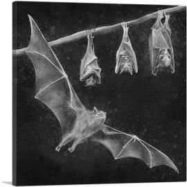 Bat Chiroptera Flying Hanging Black White-1-Panel-26x26x.75 Thick