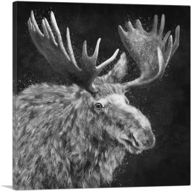 Bull Moose Elk Antlers Black White-1-Panel-36x36x1.5 Thick