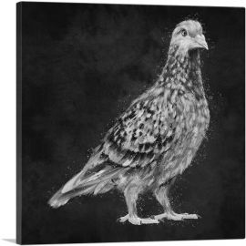 Pigeon Dove Bird Black White-1-Panel-12x12x1.5 Thick
