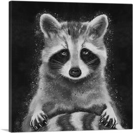 Raccoon Racoon Animal Black White-1-Panel-26x26x.75 Thick