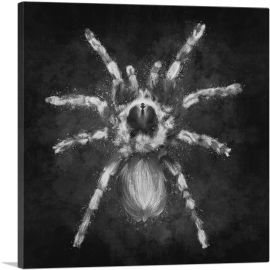 Tarantula Spider Black White-1-Panel-18x18x1.5 Thick