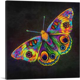 Butterfly Wings Insect-1-Panel-18x18x1.5 Thick