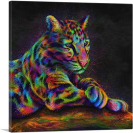 Clouded Leopard Wild Himalayan Cat-1-Panel-18x18x1.5 Thick