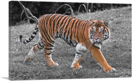 Tiger In Forest-1-Panel-40x26x1.5 Thick