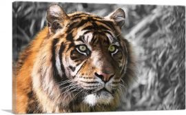 Tiger With Green Eyes In Jungle-1-Panel-26x18x1.5 Thick
