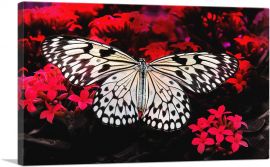 White Butterfly Over Red Flowers