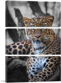 Blue Eyed Leopard On Log-3-Panels-90x60x1.5 Thick