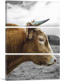 Brown Cow Bull Village Farm Field-3-Panels-90x60x1.5 Thick