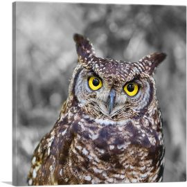 Brown Owl In Forest-1-Panel-12x12x1.5 Thick
