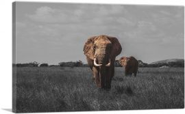 Elephant In African Savannah-1-Panel-60x40x1.5 Thick