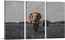 Elephant In African Savannah-3-Panels-90x60x1.5 Thick