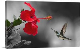 Hummingbird Flying Red Flower-1-Panel-12x8x.75 Thick
