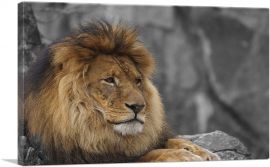 Lion Resting Under The Tree-1-Panel-40x26x1.5 Thick