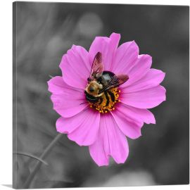 Bee On Pink Flower-1-Panel-26x26x.75 Thick