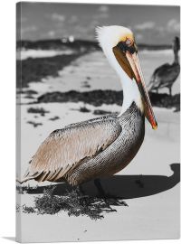 Pelican On The Sea Beach-1-Panel-60x40x1.5 Thick