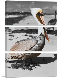 Pelican On The Sea Beach-3-Panels-90x60x1.5 Thick