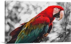 Red And Green Ara Parrot-1-Panel-12x8x.75 Thick