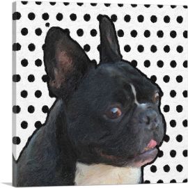 French Bulldog Dog Breed Black White Polka Dots
