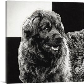 Leonberger Dog Breed-1-Panel-12x12x1.5 Thick