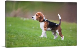 Beagle Dog Breed-1-Panel-18x12x1.5 Thick