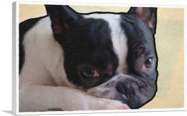 Boston Terrier Dog Breed-1-Panel-40x26x1.5 Thick